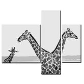 Painting by Numbers Photo Art Giraffes 3-Panel